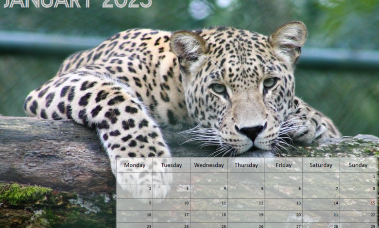 Free Printable Calendar - Animals - January 2023