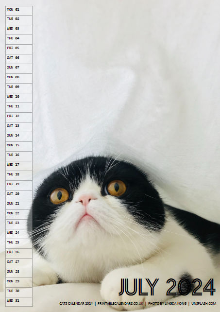 Cats Calendar 2024 - Free to Print