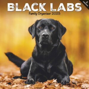 Black Labs Family Organiser 2025