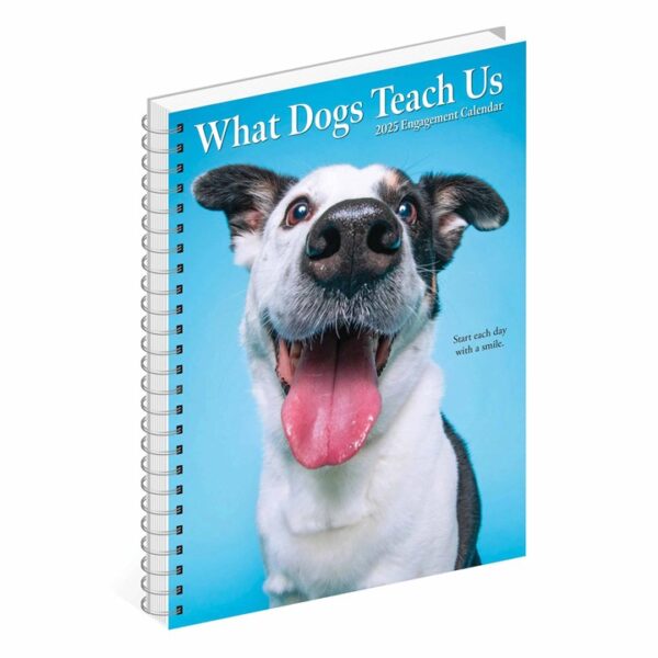 What Dogs Teach Us A5 Diary 2025