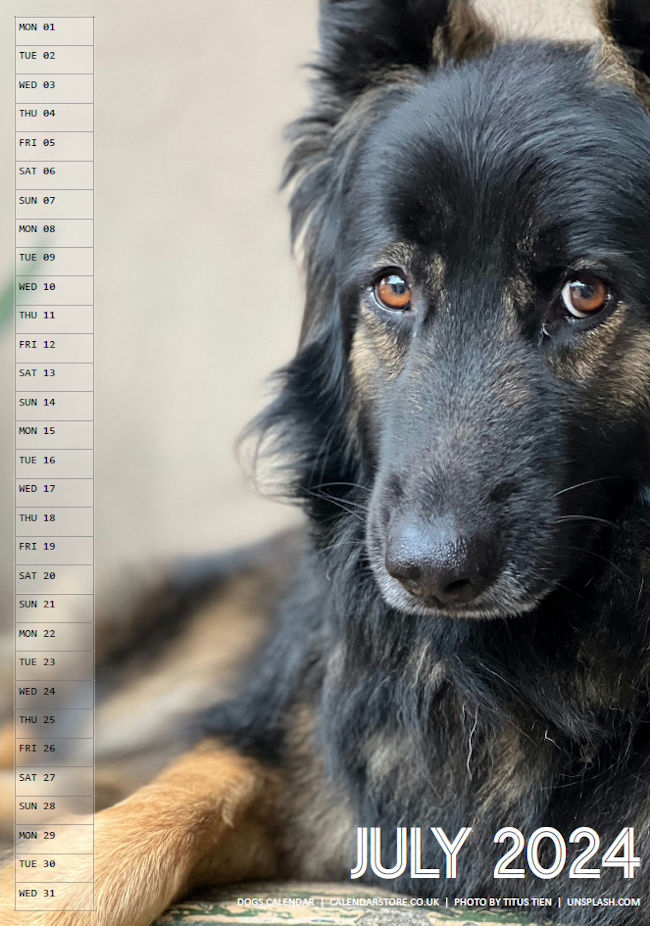 Dogs Calendar 2024 - Free to Print