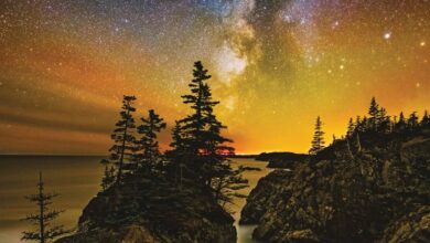 A Galaxy of Stars Mini Calendar 2026