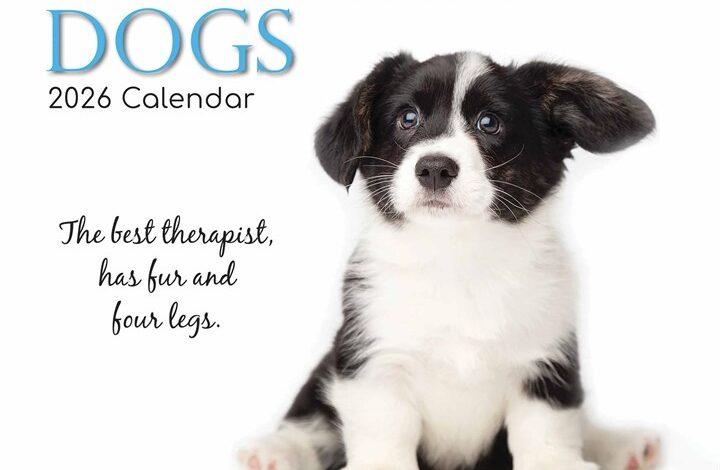 Adorable Dogs Calendar 2026