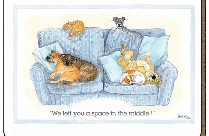 Alison's Animals Dog Coaster