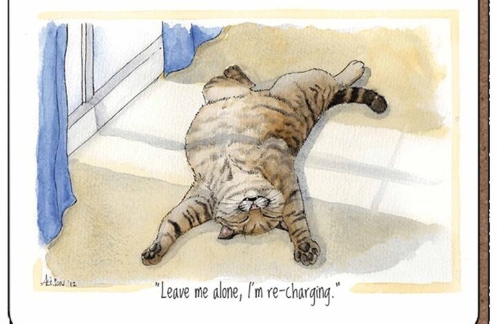 Alison's Animals Recharging Cat Coaster