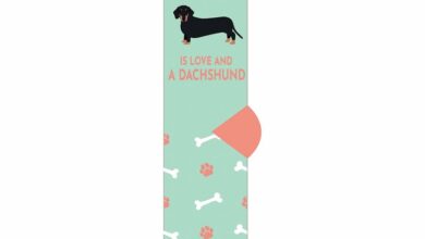 All I Need is Love and a Dachshund Socks - Size 4 - 8
