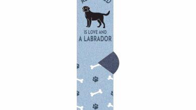 All I Need is Love and a Labrador Socks - Size 7 - 11