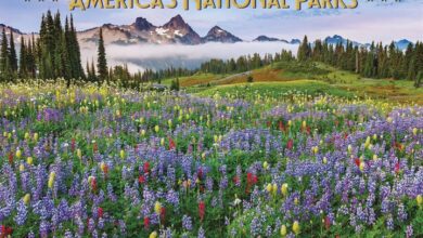 American National Parks Deluxe Calendar 2026