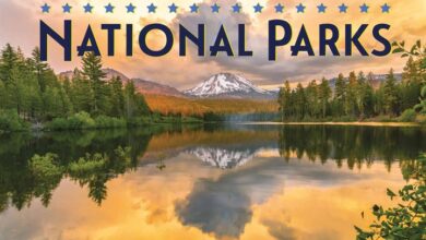 American National Parks Desk Calendar 2026