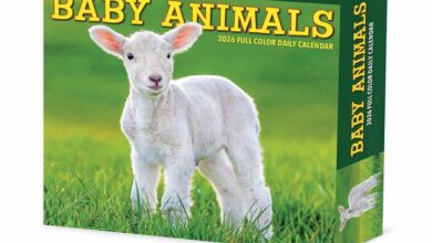 Baby Animals Desk Calendar 2026