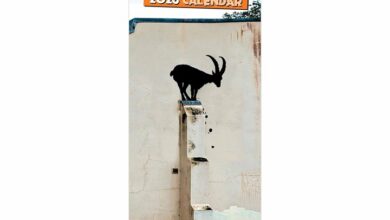 Banksy's Graffiti Slim Calendar 2026