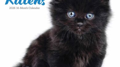 Black Kittens Calendar 2026