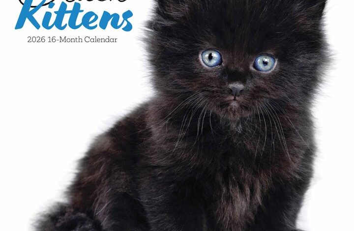 Black Kittens Calendar 2026