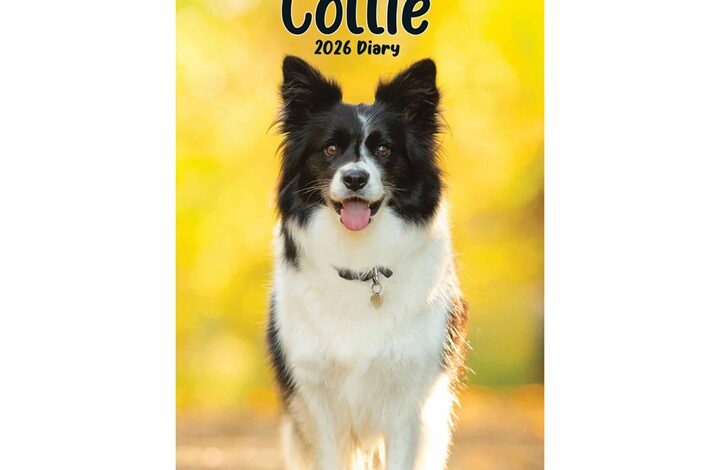 Border Collies Slim Diary 2026