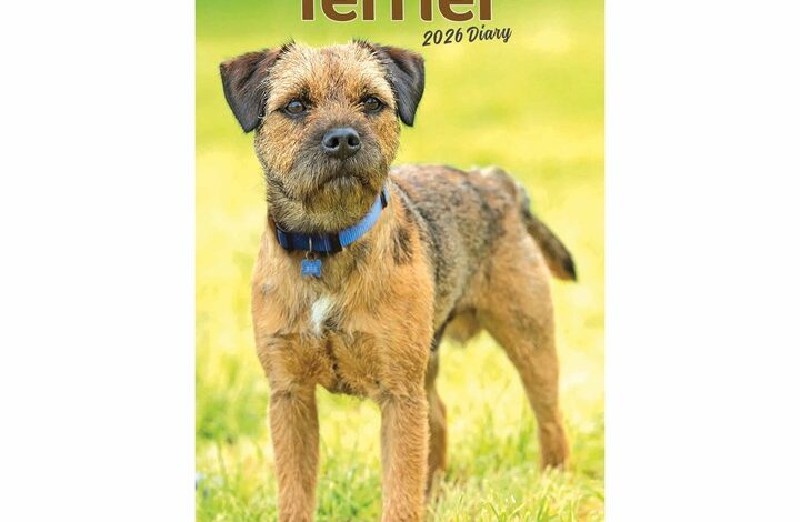 Border Terrier Slim Diary 2026
