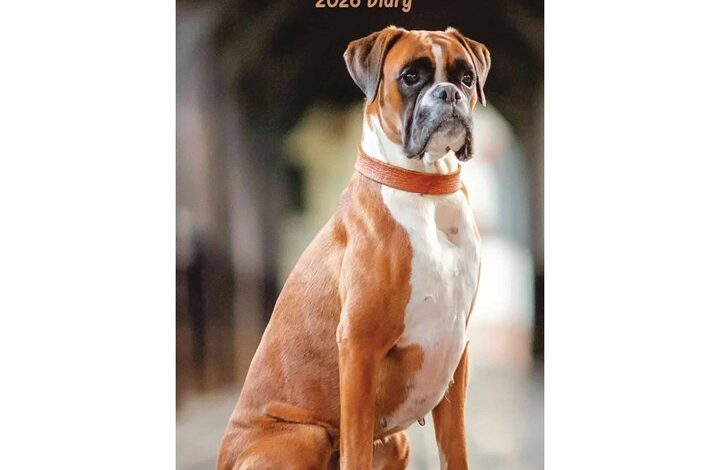 Boxer Slim Diary 2026