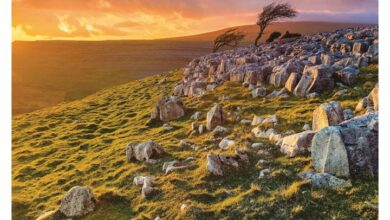 British Landscapes Easel Desk Calendar 2026