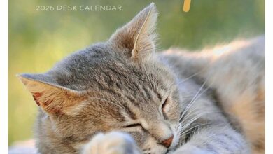 Cat Naps Easel Desk Calendar 2026