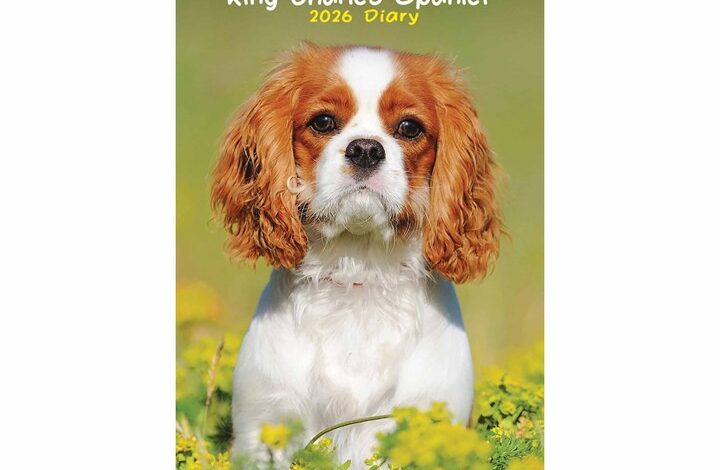 Cavalier King Charles Spaniel Slim Diary 2026
