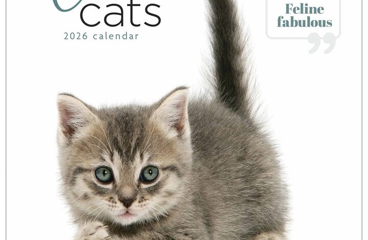 Cute Cats Calendar 2026