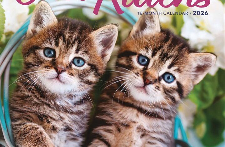 Cute Kittens Calendar 2026