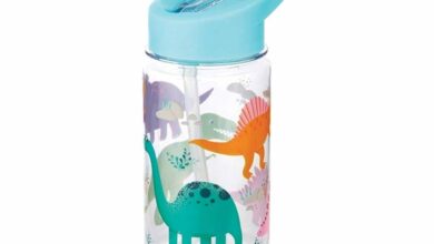 Dinosaur Water Bottle