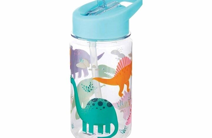 Dinosaur Water Bottle