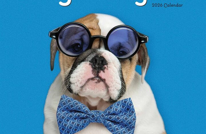 Dogs in Disguise Calendar 2026