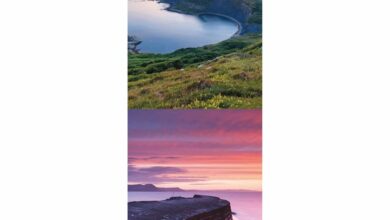 Dorset Slim Calendar 2026