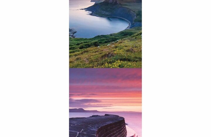 Dorset Slim Calendar 2026