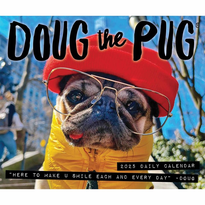 Doug The Pug Desk Calendar 2025