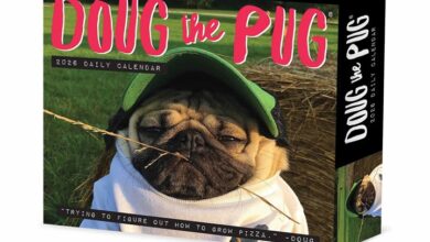Doug The Pug Desk Calendar 2026