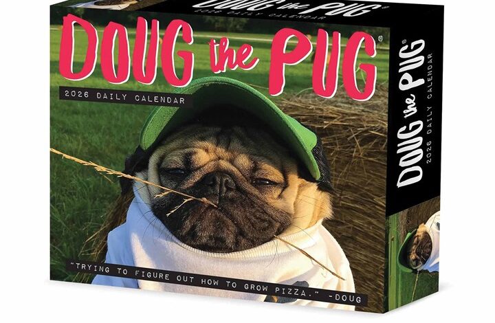 Doug The Pug Desk Calendar 2026