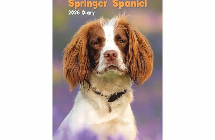 English Springer Spaniel Slim Diary 2026