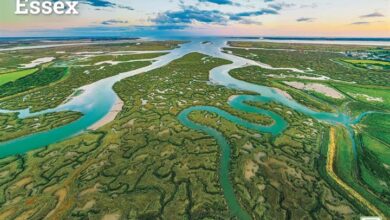 Essex A4 Calendar 2026