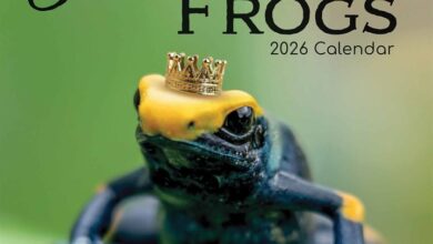 Fabulous Frogs Calendar 2026