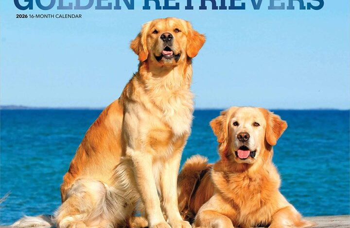 For The Love Of Golden Retrievers Deluxe Calendar 2026