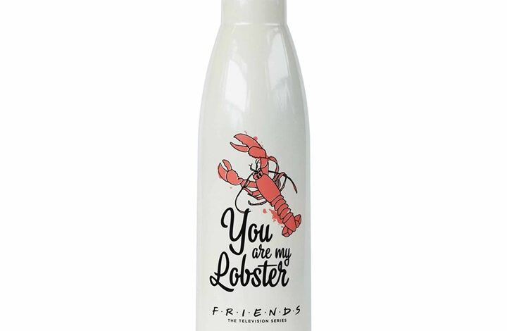 Friends You're My Lobster Water Bottle