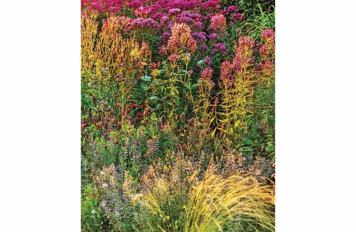 Garden Slim Diary 2026 - 2027