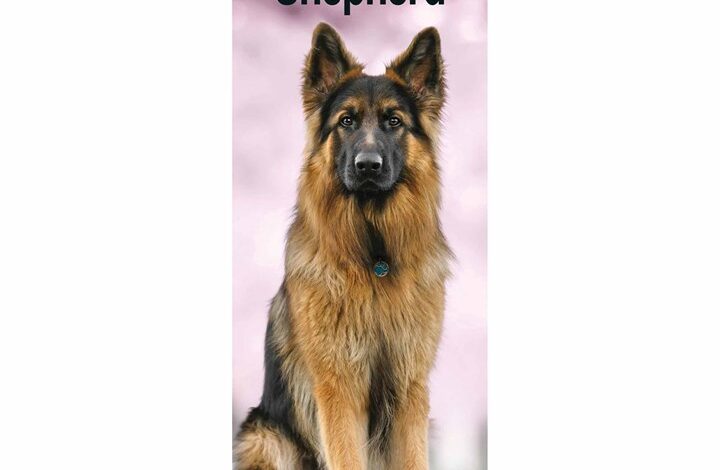 German Shepherd Slim Calendar 2026