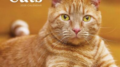 Ginger Cats Calendar 2026