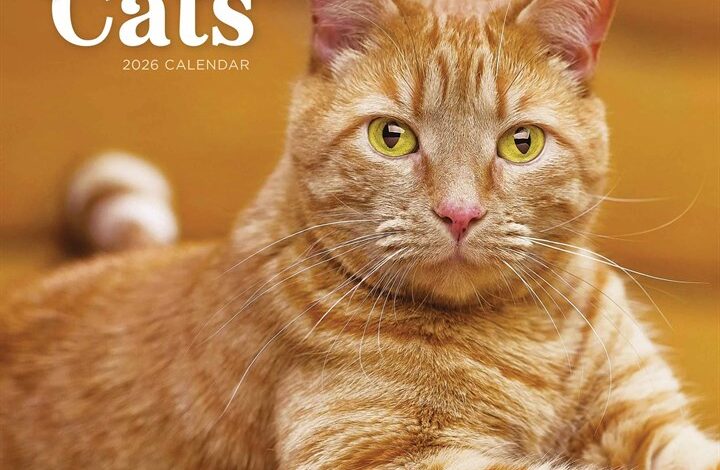 Ginger Cats Calendar 2026