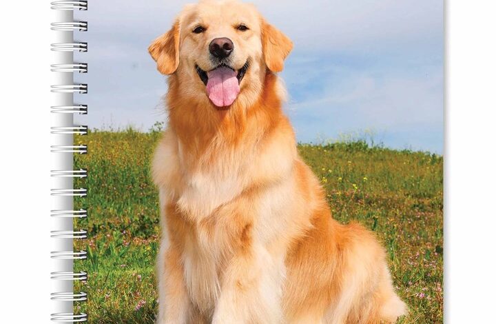 Golden Retrievers A5 Diary 2026