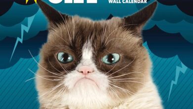 Grumpy Cat Calendar 2026