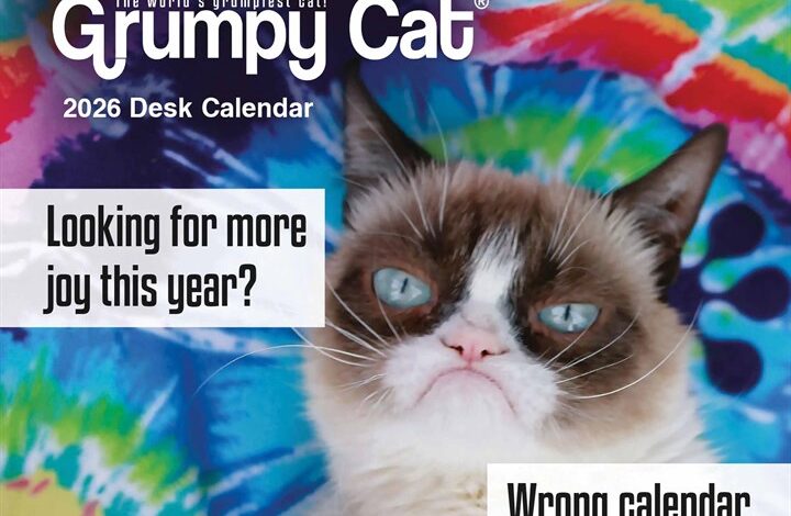 Grumpy Cat Desk Calendar 2026