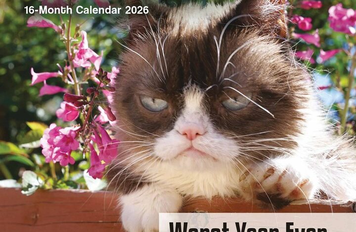 Grumpy Cat Mini Calendar 2026