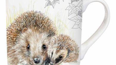 Hedgehog Tarka Mug