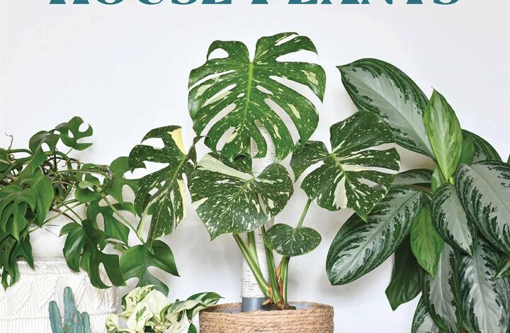 House Plants Calendar 2026
