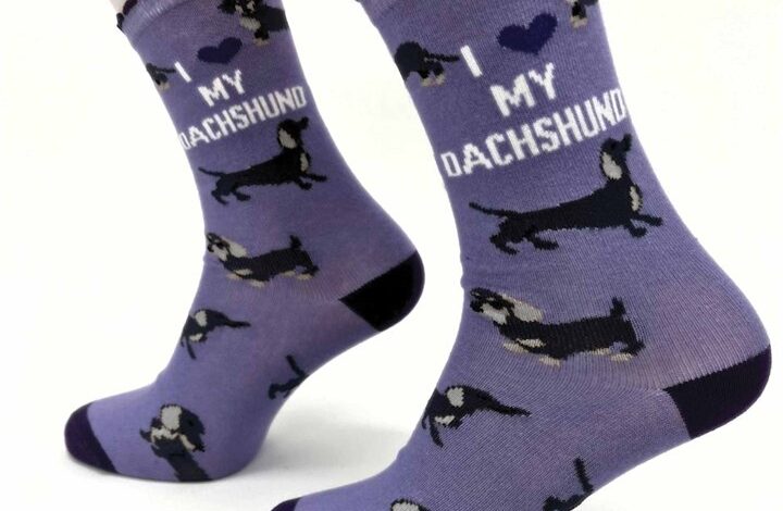I Heart My Dachshund Socks - Size 4 - 8
