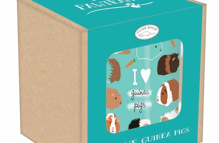 I Love Guinea Pigs Tarka Mug